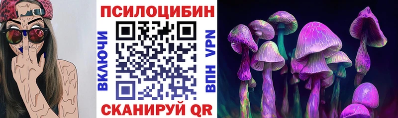 Галлюциногенные грибы Psilocybine cubensis  Нерехта 